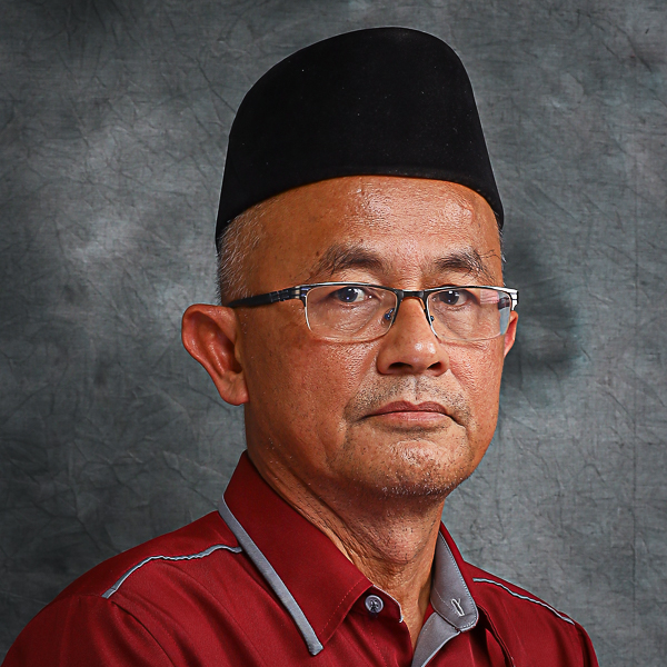 Professor Dr Sinin Bin Hamdan